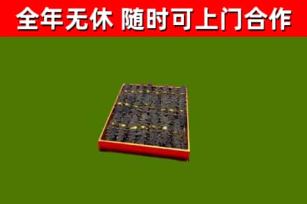 西青回收海参